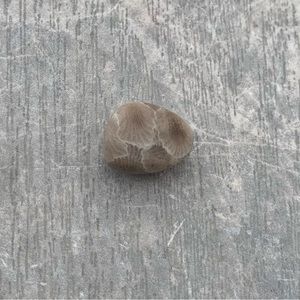 Petoskey stone